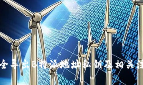 如何安全导出B特派地址私钥及相关注意事项