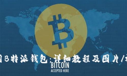 如何使用B特派钱包：详细教程及图片/视频指南