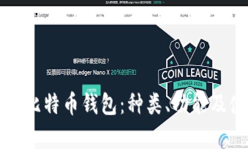 全面解析比特币钱包：种类、功能及使用指南