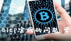 如何解决无法访问BitP官网