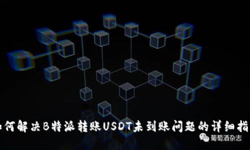 如何解决B特派转账USDT未到账问题的详细指南