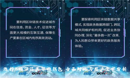选择B特派还是华特钱包：全面对比与用户需求分析