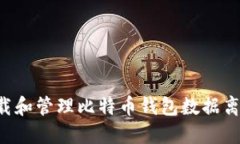 如何安全下载和管理比特