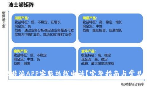 如何联系B特派APP客服热线电话？完整指南与常见问题解答