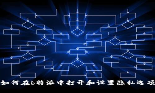 如何在b特派中打开和设置隐私选项