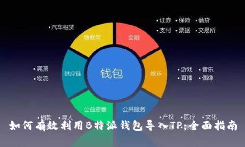 如何有效利用B特派钱包导入TP：全面指南