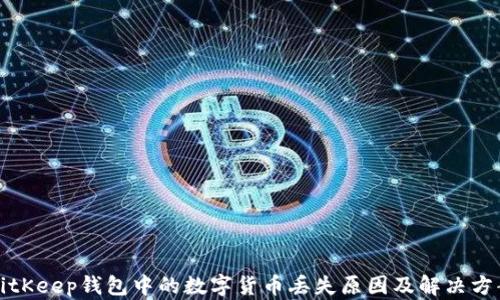 
BitKeep钱包中的数字货币丢失原因及解决方案
