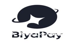 比特派买矿工费多久到账