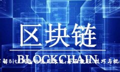 深入了解BitP钱包的使用方