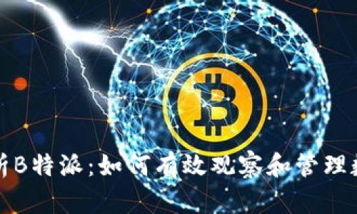 深入分析B特派：如何有效观察和管理数字钱包