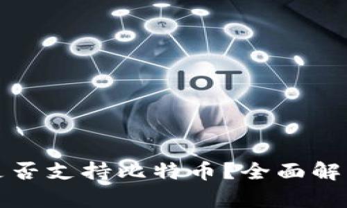 以太坊钱包是否支持比特币？全面解析与用户价值