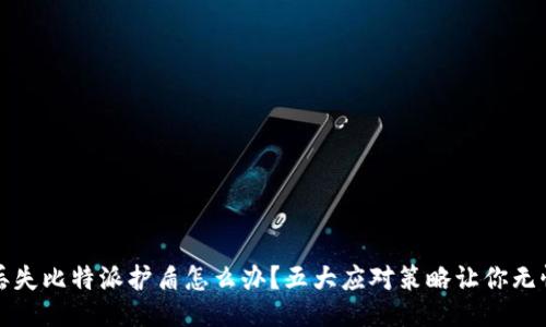 丢失比特派护盾怎么办？五大应对策略让你无忧