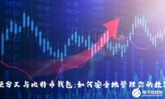 理解硬分叉与比特币钱包