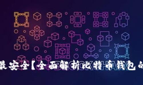 比特币存哪个钱包最安全？全面解析比特币钱包的安全性与选择指南