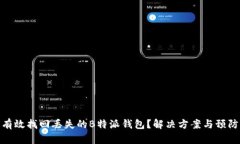 如何有效找回丢失的B特派