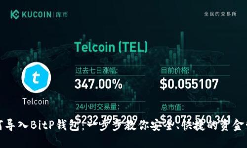 如何导入BitP钱包：一步步教你安全、快捷的资金管理