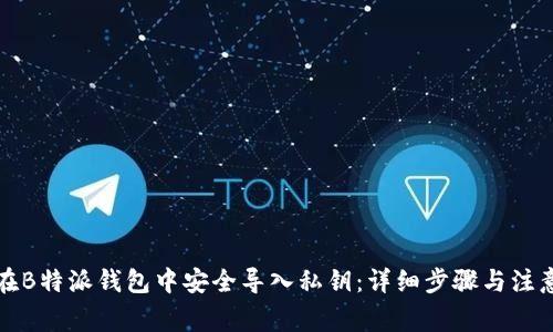 如何在B特派钱包中安全导入私钥：详细步骤与注意事项