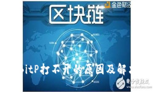 解决BitP打不开的原因及解决方案