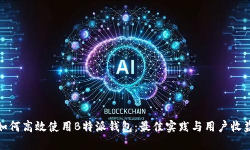 如何高效使用B特派钱包：最佳实践与用户收益