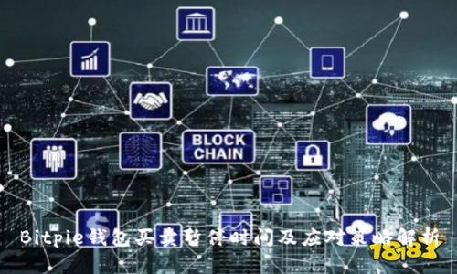 Bitpie钱包买卖暂停时间及应对策略解析