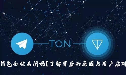 BitP钱包会被关闭吗？了解背后的原因与用户应对策略