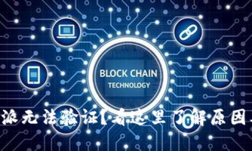 为什么B特派无法验证？看这里了解原因及解决方案