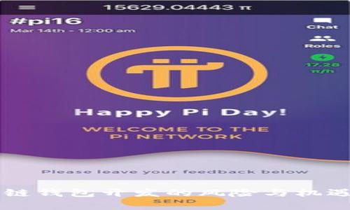 区块链钱包开发的风险与机遇解析