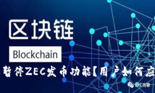 为什么b特派暂停ZEC发币功能？用户如何应对这一变化？