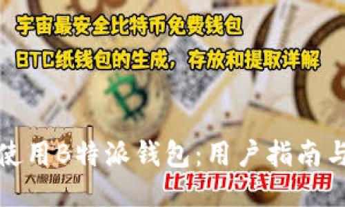 如何安全使用B特派钱包：用户指南与安全技巧