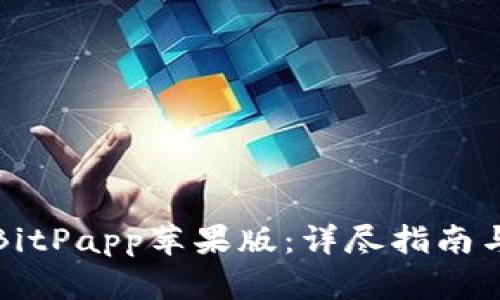 如何下载BitPapp苹果版：详尽指南与实用技巧