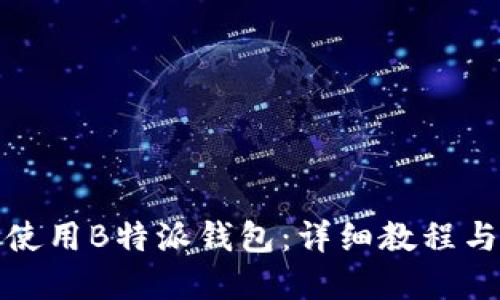 如何高效使用B特派钱包：详细教程与实用技巧