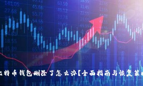 比特币钱包删除了怎么办？全面指南与恢复策略