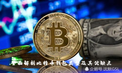 全面解析比特币钱包类型及其优缺点
