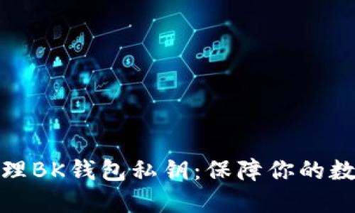 如何安全管理BK钱包私钥：保障你的数字资产安全