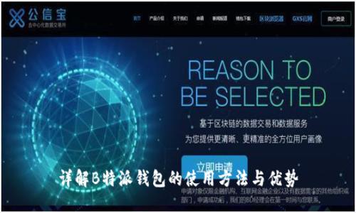 详解B特派钱包的使用方法与优势