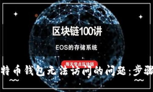 解决比特币钱包无法访问的问题：步骤与技巧