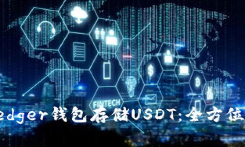 如何高效使用Ledger钱包存储USDT：全方位指南与最佳实践