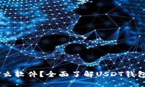 USDT钱包是什么软件？全面了解USDT钱包的功能与选择