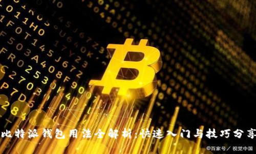 比特派钱包用法全解析：快速入门与技巧分享