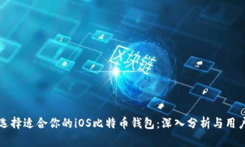 如何选择适合你的iOS比特币钱包：深入分析与用户收益