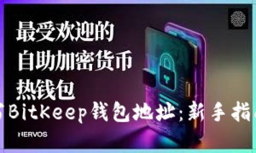 如何正确填写BitKeep钱包地址：新手指南与实用技巧