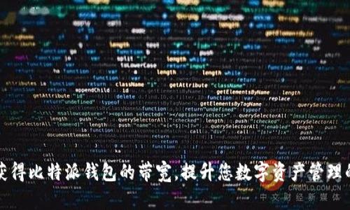 如何获得比特派钱包的带宽，提升您数字资产管理的效率