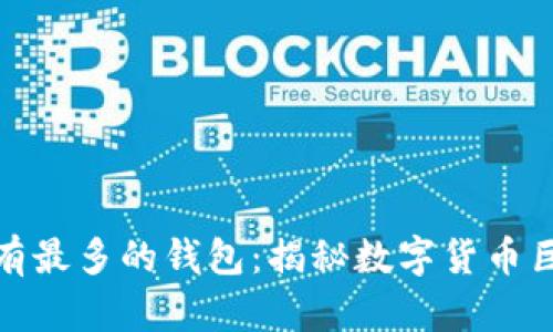 探索比特币拥有最多的钱包：揭秘数字货币巨头的财富网络