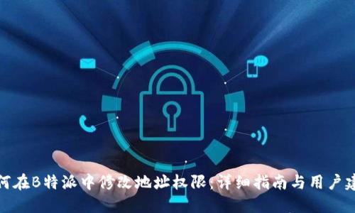 如何在B特派中修改地址权限：详细指南与用户建议