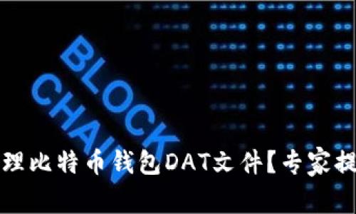 如何安全地管理比特币钱包DAT文件？专家提供的实用指南