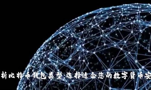 全面解析比特币钱包类型：选择适合您的数字货币安全方案