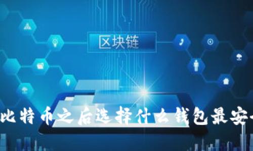 买比特币之后选择什么钱包最安全？