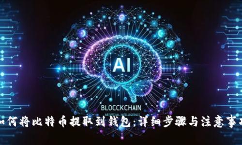 如何将比特币提取到钱包：详细步骤与注意事项