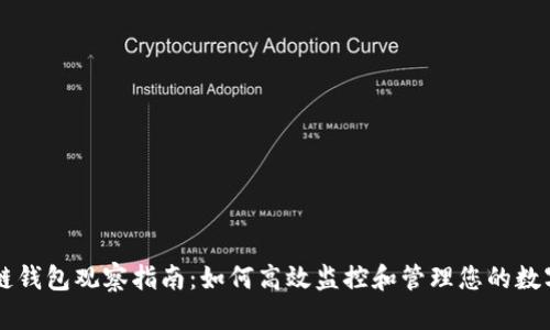 区块链钱包观察指南：如何高效监控和管理您的数字资产