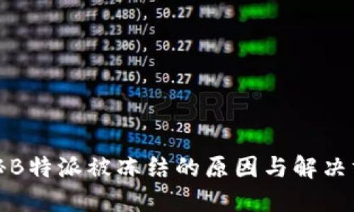 揭秘B特派被冻结的原因与解决方案